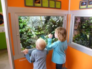Two kids viewing the Ribbitt Zibit at Como Zoo in St. Paul, MInnesota