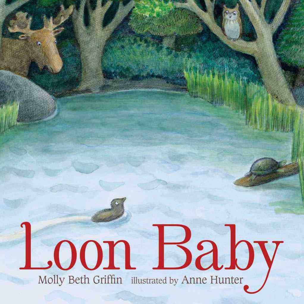 Loon Baby by Molly Beth Griffin