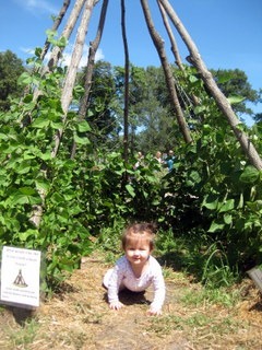 baby crawling in teepee at Discovery Hollow, Tamarack Nature Center