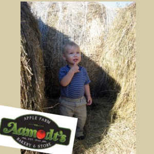 Toddler playing in haystack at Aamodt's Apple Farm, Bakery & Store, Stillwater, Minneosta
