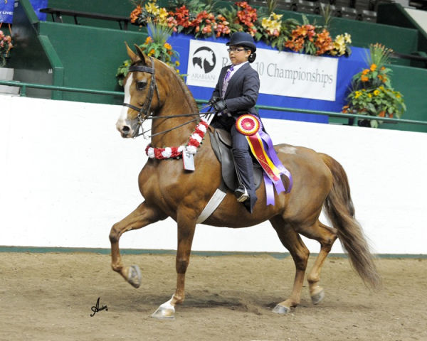 Girl riding horse in contest 2012