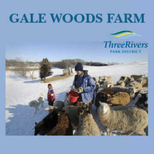 Visitors feeding sheep at Gale Woods Farm in Minnetrista, Minnesota - Three Rivers Park District