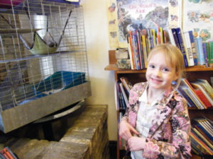 Girl looking at one of the pets at the Wild Rumpus Bookshop in Minneapolis, MN