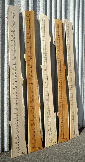 Growth Chart sticks created by Wood from the Hood