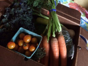 Box of veggies - cherry tomatoes, carrots and greens