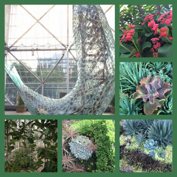 Minneapolis Sculpture Garden - Arboretum 2014