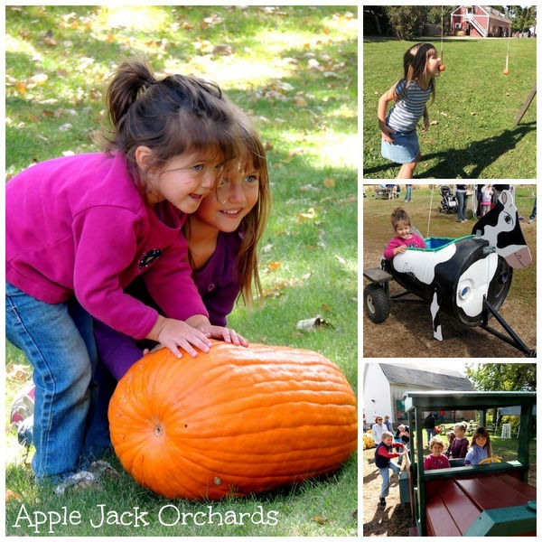 Collage of children playing at Apple Jack Orchard in Delano Minnesota - left: two girls rolling a large pumpkin, right top: girl catching apple on a string with her teeth, right middle: little girl in a cow-shaped cart, right bottom: kids playing on pretend train