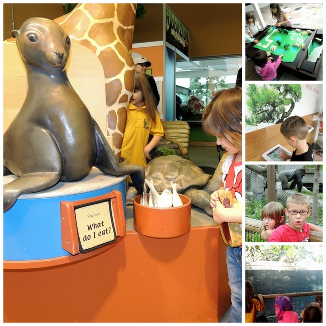 Collage of children Playing in the Leonard Wilkening Children's Gallery at Como Zoo, Saint Paul, MN