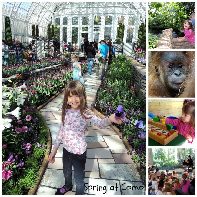 Collage of family fun at Como Zoo in Spring.