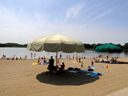 Find Twin Cities Beaches in FFTC's Directory