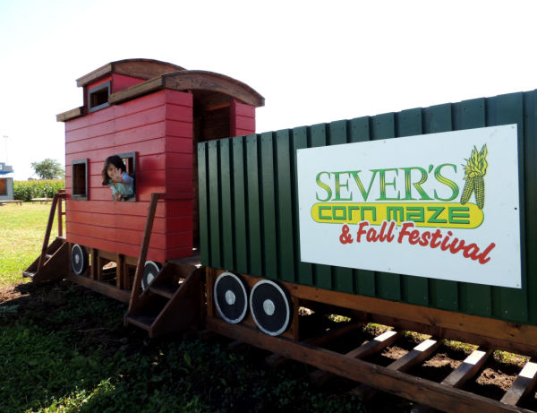 Severs-Corn-Train