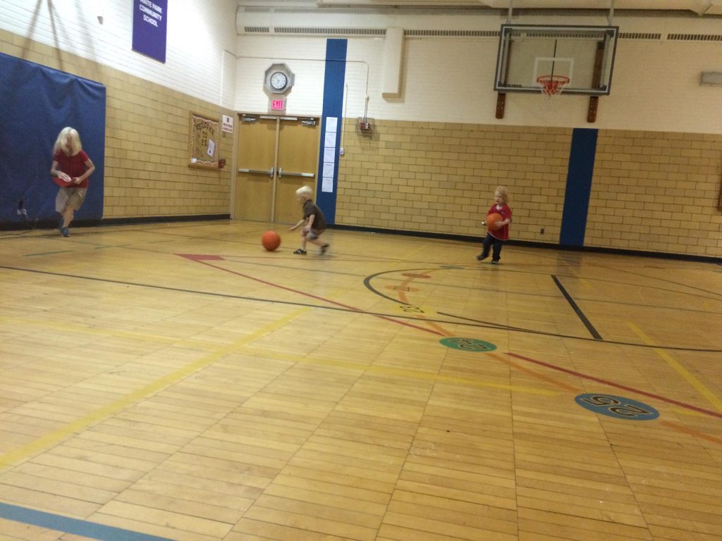 This is kind of a tiny gym, but fun for a family gym night
