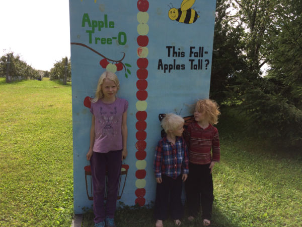 Kids measuring height at Apple Tree-O Orchard in Delano, Minnesota
