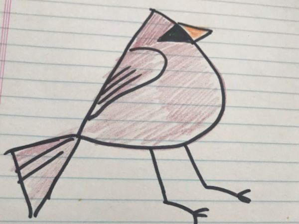 Drawing of a cardinal on lined paper