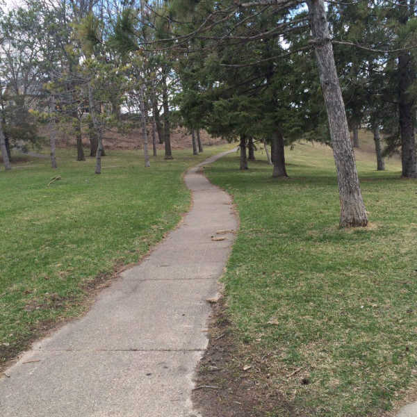Path leading through Audubon Park in Minneapolis