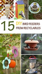 Urban Birding with homemade bird feeders.