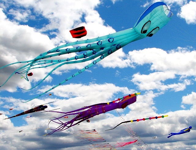 Kites on Ice - Twin Cities Winter Family Festival Calendar