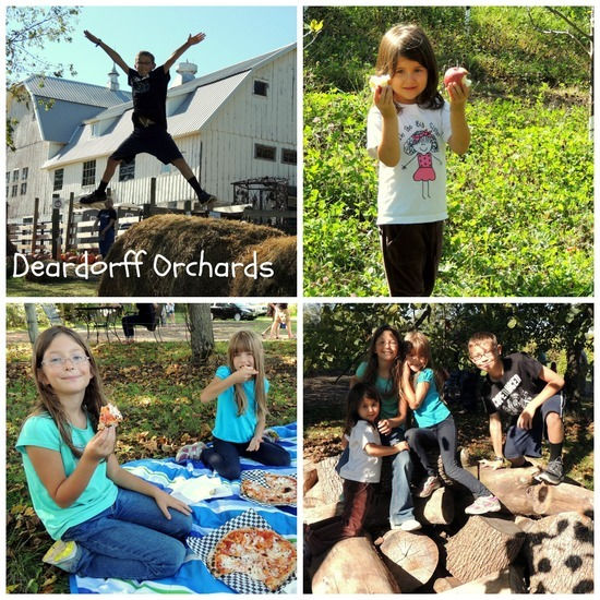 Collage of children enjoying Deardorff Orchards: Top left: Boy jumping off hay stack; top right: young girl showing her half-eaten apples; bottom left: girls picnicking on pizzas; bottom right: four kids posing together on a stack of climbing logs