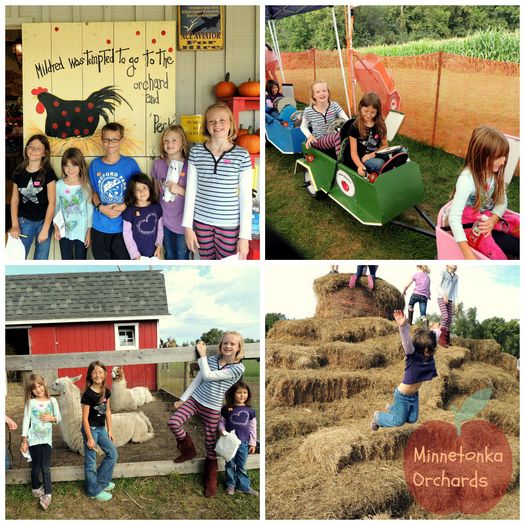 Minnetonka Orchards Collage: Top left six children standing in front of a sign that reads "Mildred was tempted to go the orchard and 'Peck'", Top right: kids riding pull wagons, bottom left: 4 girls in front of llamas; bottom right: 4 girls climbing on and jumping from hay mountain