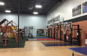 Millz House Indoor Playground in Minnesota