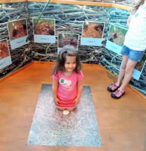 Little girl exploring the National Eagle Center in Wabasha, Minnesota