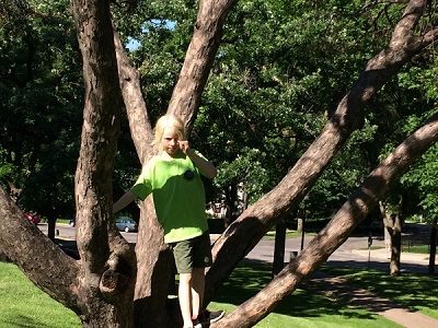 Girl climbing a tree at Washburn Fair Oaks Park in Minneapolis, Minnesota. Outdoor Games for Kids in Nature - Climb a Tree