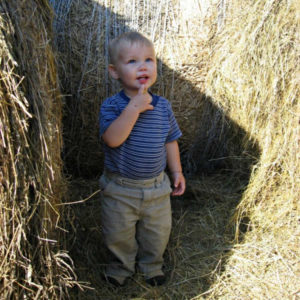 Toddler playing in haystack at Aamodt's Apple Farm, Bakery & Store, Stillwater, Minnesota