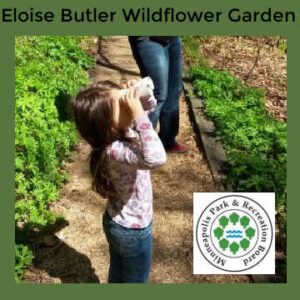 Young girl using binoculars at the Eloise Butler Wildflower Garden in Minneapolis, Minnesota