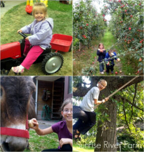 Collage of children exploring Sunrise River Farm in Wyoming, Minnesota - Top let: tot on a pedal tractor, top right: two kids picking apples in orchard, bottom left: tween girl brushing horse, bottom right: teen boy swinging on tire swing