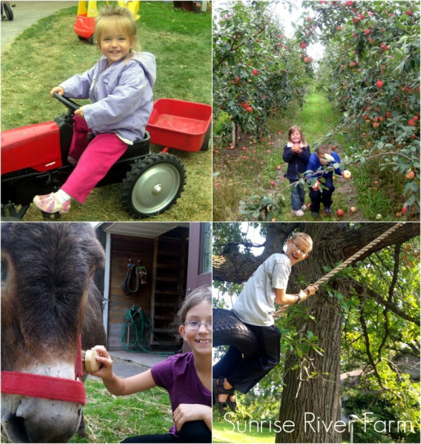 Twin Cities Apple Orchards