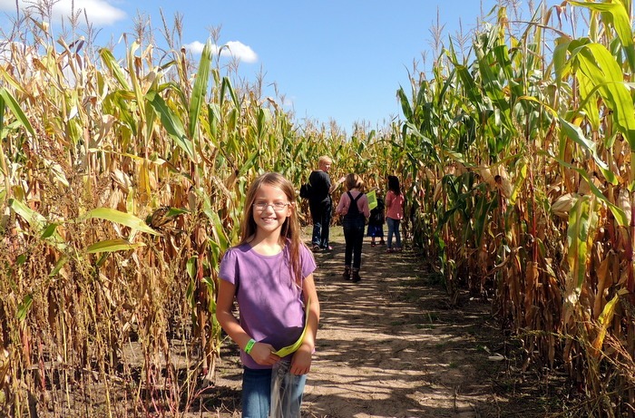 Top 10 Family Picks: October in the Twin Cities
