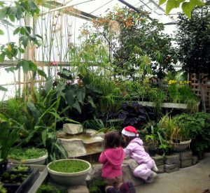 Children looking at plants at the Minnesota Landscape Arboretum
