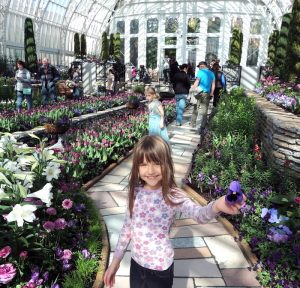 Girl Showing purple flower at Como Conservatory in Saint Paul Minnesota