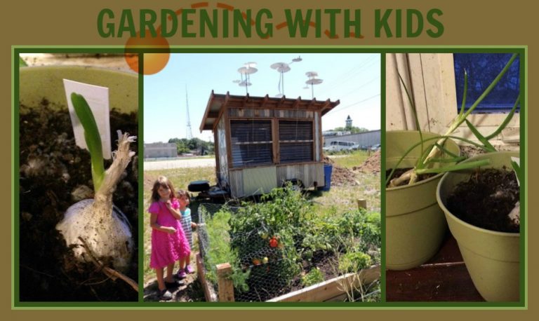 Collage of ways to garden with kids indoor and outside