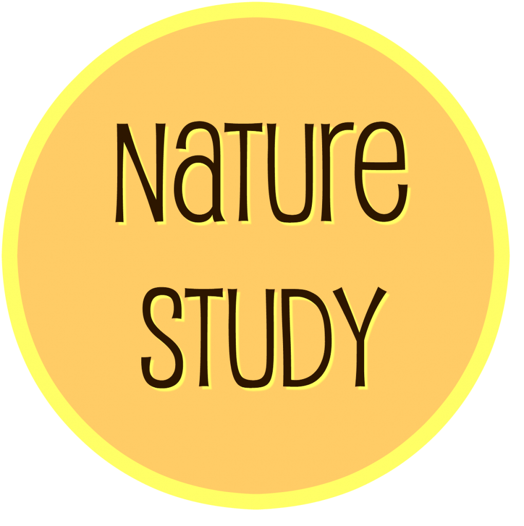 nature study science