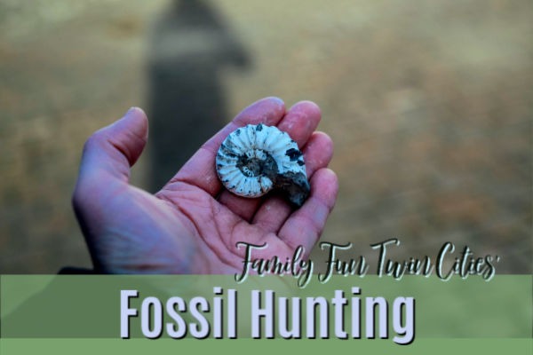 Family Fun Twin Cities Fossil Hunting