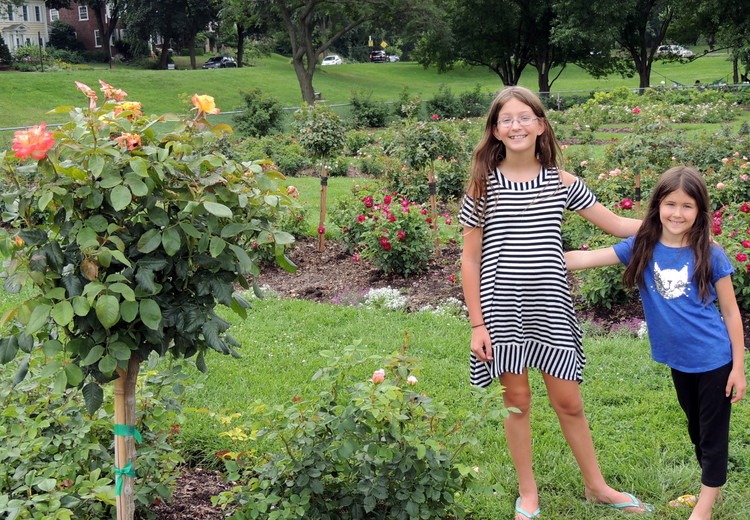 Girls admiring rose bush in Lyndale Rose Garden, Minneapolis Minnesota