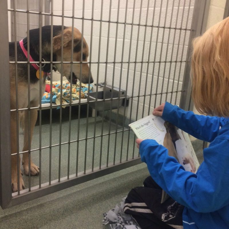 Rescue Readers at the Humane Society of Minnesota