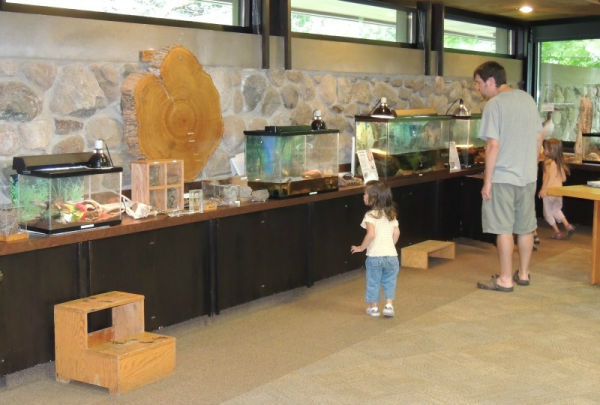 Father and two girls visiting the live animals at Lowry Nature Center in Victoria, Minnesota