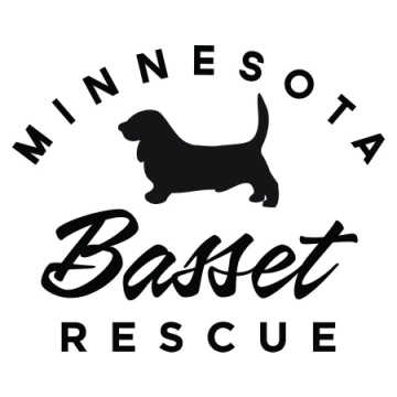 Minnesota Basset Rescue, Minneapolis