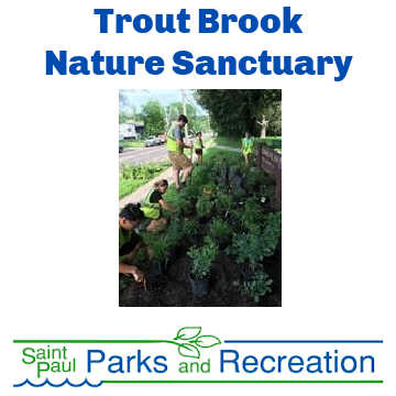 Trout Brook Nature Sanctuary, St. Paul