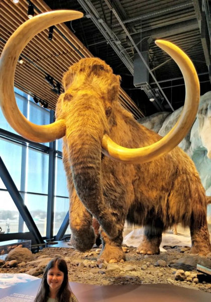 Girl by large wooly mammoth diorama at Bell Museum of Natural History.
