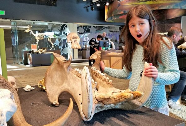 Girl exclaiming over large skull at the Bell Museum of Natural History in St. Paul, MN