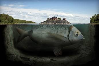 (Fishy Island, by Erik Johansson)