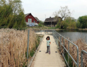 Take a Family Walk at Dodge Nature Center