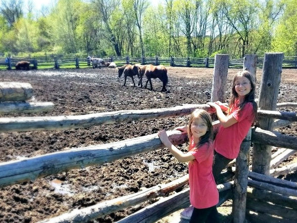 Two girls watching horses at Oliver Kelley Farm in Elk River, Minnesota