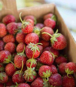 fresh strawberries in box