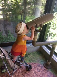 Toddler Girl Looking Through View Scope at Como Zoo, Saint Paul Minnesota