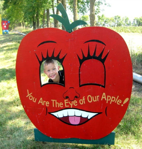 Afton Apple Orchard: Boy posing in cut-out apple, "You Are The Eye of Our Apple!"