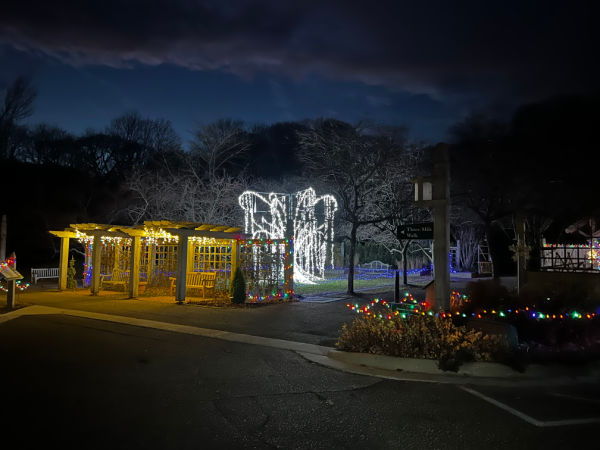 Weeping Willow Sensory Garden at the Minnesota Landscape Arboretum Winter Lights Show in Chaska, Minnesota